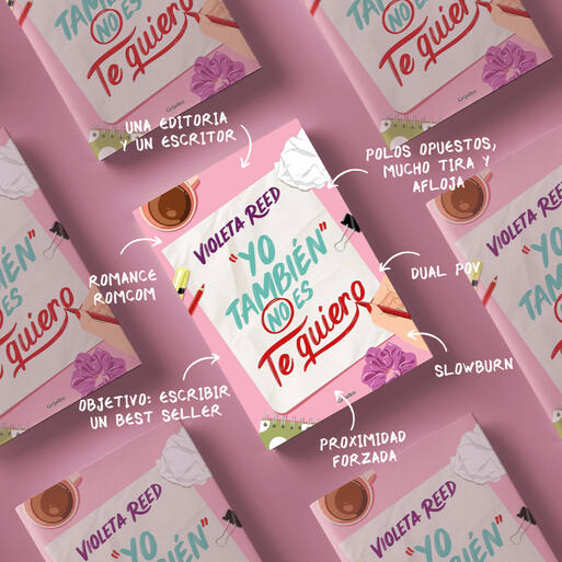 Suspiros robados Ann Rodd