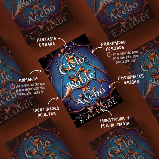 Suspiros robados Ann Rodd